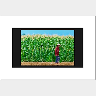 Corn. Posters and Art